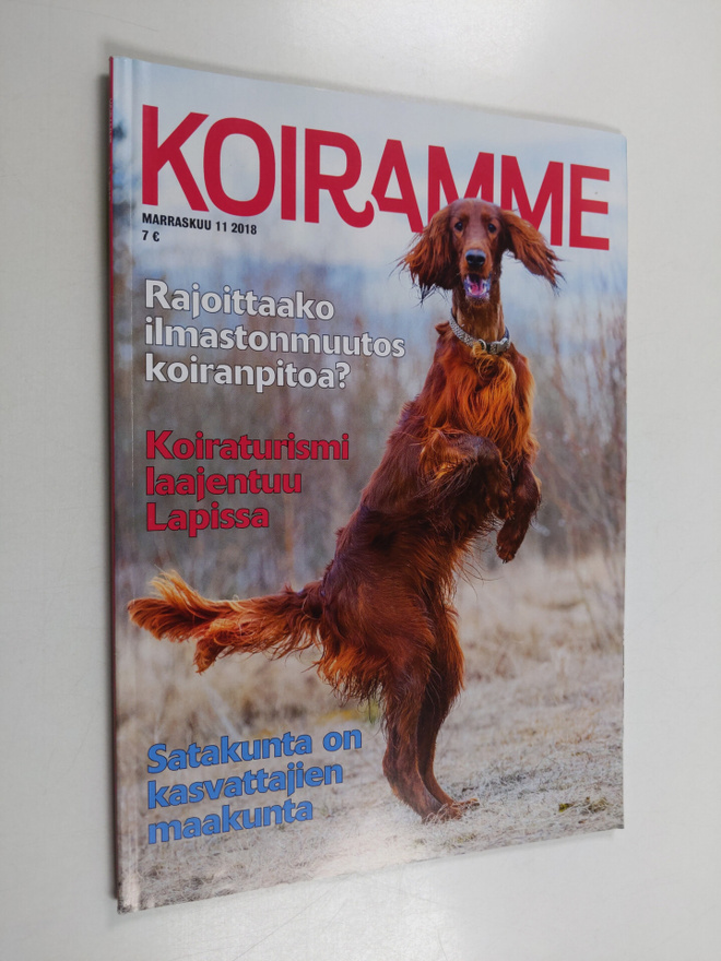 Koiramme 11/2018