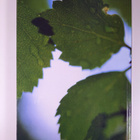 Environmental high-technology from Finland - pikkukuva 2