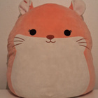 Erica the Chinchilla Squishmallow - pikkukuva 1