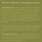 Liisa Seppänen: Kelttiläisillä poluilla - pikkukuva 3