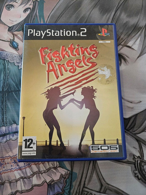 Fighting Angels (PS2)