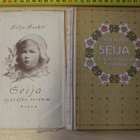 Hilja Haahti: Seija tyttösen tarina - pikkukuva 1