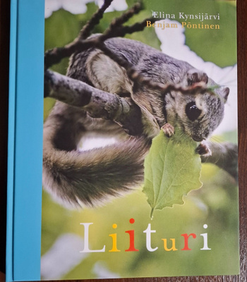 Kynsijärvi, Pöntinen: Liituri