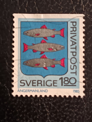Ruotsi-85
