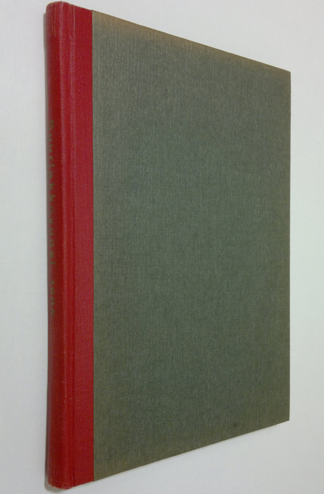 Suurlakkovuosi 1905