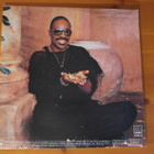 Stevie Wonder:In Square Cirle LP - pikkukuva 2