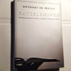 Katseleminen De Mello Anthony - pikkukuva 1