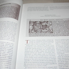 Olaus Magnus Suomalaiset Pohjoisten kansojen historiassa - pikkukuva 3