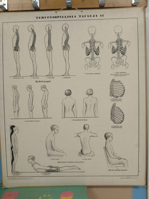 Opetustaulu
