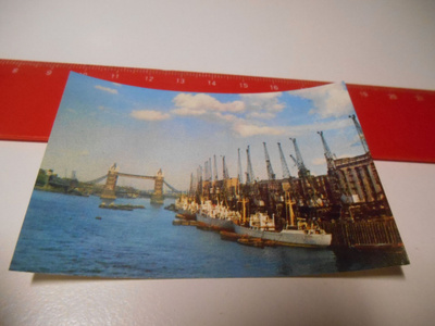 K10 Tietokilpa-Jenkki # 15
