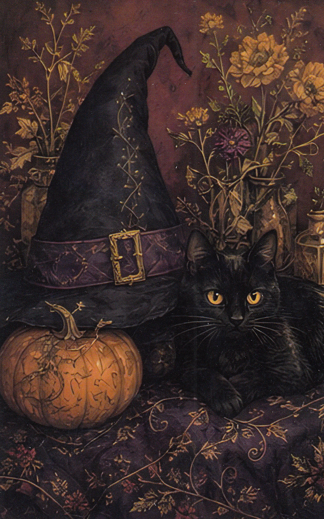 Halloween musta hattu ja musta kissa