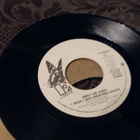 Jerry Lee Lewis sinkku - pikkukuva 2