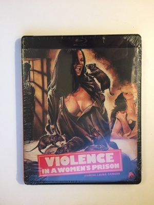 Violence In A Women's Prison (Blu-ray) 1982 (UUSI) Severin