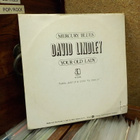 DAVID LINDLEY - MERCURY BLUES / YOUR OLD LADY EX-/EX- 7" - pikkukuva 2
