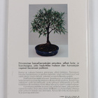 Nina Hubert : Huonebonsai - pikkukuva 2
