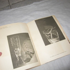 Kivijärvi - Inkeroinen : Riihimäen lasitehdas 1910-1930 - pikkukuva 4