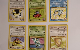 Pokemon Jungle rareja