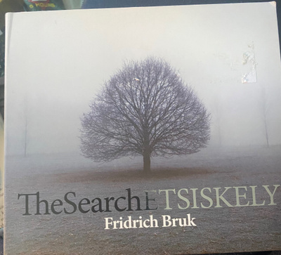 Fridrich Bruk: The Search/Etsiskely cd