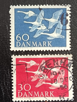 Tanska Linnut