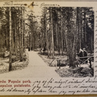 Viipuri Papulan puisto - pikkukuva 1