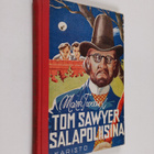 Mark Twain : Tom Sawyer salapoliisina - pikkukuva 1