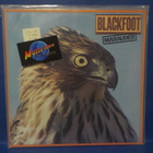 BLACKFOOT - MARAUDER M-/M- GER -81 1ST PRESS LP - pikkukuva 1