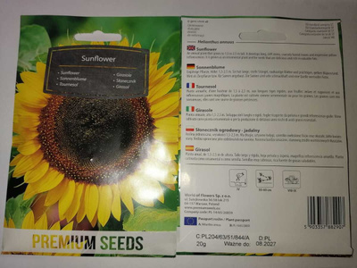 Auringonkukka - siemenet #