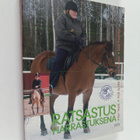 Ratsastus harrastuksena - pikkukuva 1