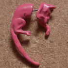 Pinkki korvakoru kissa - pikkukuva 3