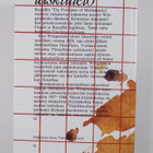 Ludwig Wittgenstein : Huomautuksia matematiikan perusteista - pikkukuva 2