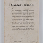 Sallie Bennbo-Ranner : Gänget i gränden - pikkukuva 2