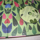 Hilla ja salaperäinen saarni +cd - pikkukuva 5