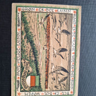 Saksa Helgoland 1 Mark 1920 - pikkukuva 2