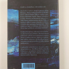Laura Lindstedt : Sakset : triptyykki - pikkukuva 2