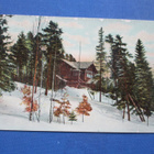 1910 Nuutilanmäki (Juva) rivil + Mikkeli kortilla - pikkukuva 2
