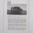 Siipirikko 1/1990 - pikkukuva 2