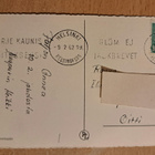 kukkakortti, neilikat, kulkenut 1962 - pikkukuva 2
