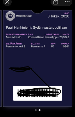 Pauli Hanhiniemi Musiikkitalo
