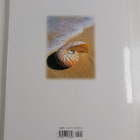 Patrick Hook : The world of seashells : a fully illustrat... - pikkukuva 2