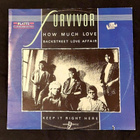Survivor : 12" Värivinyyli How much love (1986) - pikkukuva 2