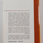 Charlotte Bronte : Kotiopettajattaren romaani - pikkukuva 2