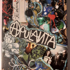 APULANTA KESÄAINE DVD - pikkukuva 1