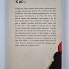 Anna Bondestam : Kuilu - pikkukuva 2