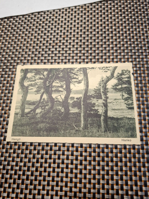 10Z Hanko