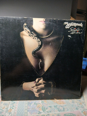 Whitesnake Slide It In