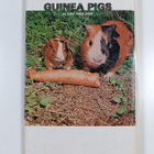 Kay Ragland : Guinea Pigs - pikkukuva 2