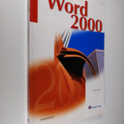 Outi Lammi : Word 2000 - pikkukuva 1