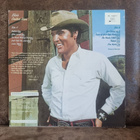 2x Elvis LP - pikkukuva 2