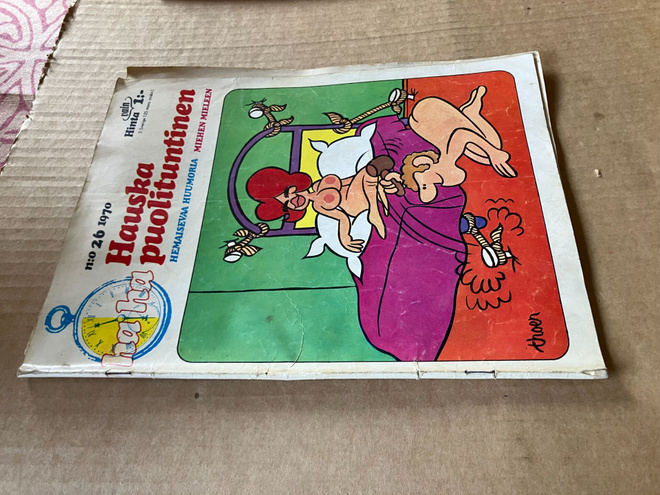 HAUSKA PUOLITUNTINEN 26/1970