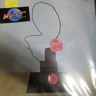 METHYL ETHEL - OH INHUMAN SPECTACLE VINYL LP DA5H031 - pikkukuva 1